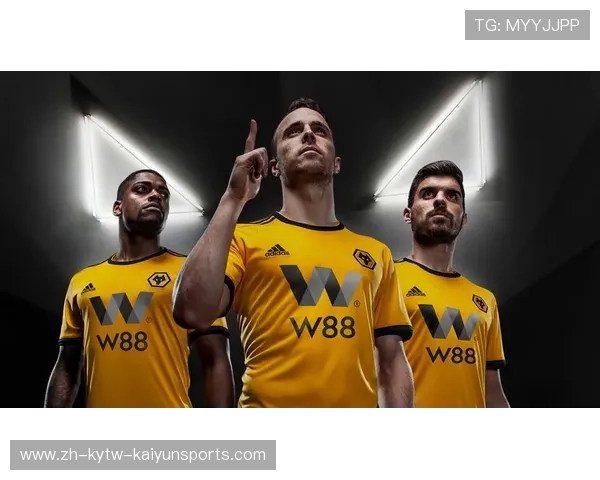 英超球队的视觉识别系统